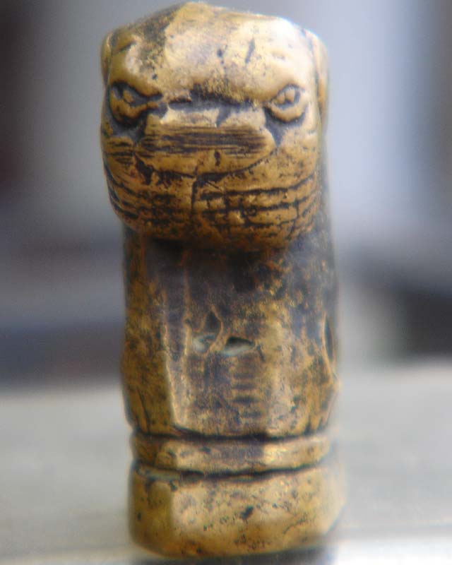 ไม่ทราบว่าเสือรุ่นไหน