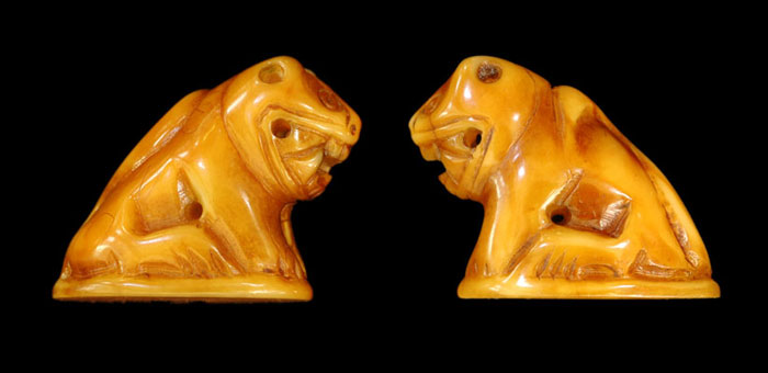 ขอถามพี่ๆครับ เขี้ยวเสือแกะ