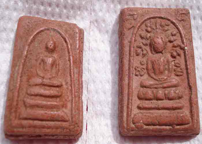 ว่านสบู่เลือดพ่อเงินดอนยายหอม