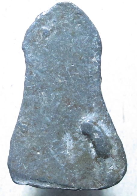 เนื้อชินครับ