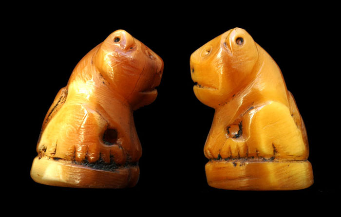 พี่ๆช่วยดูให้หน่อยครับ เสือ 2 ตัว ครับ