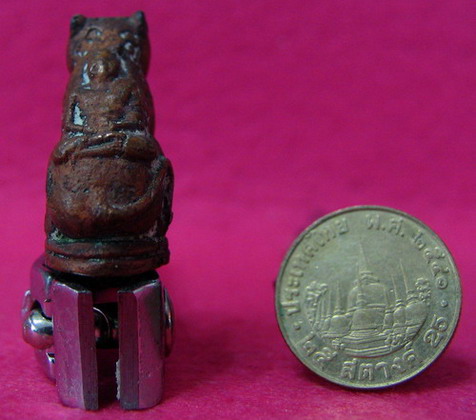 เสือครับ 