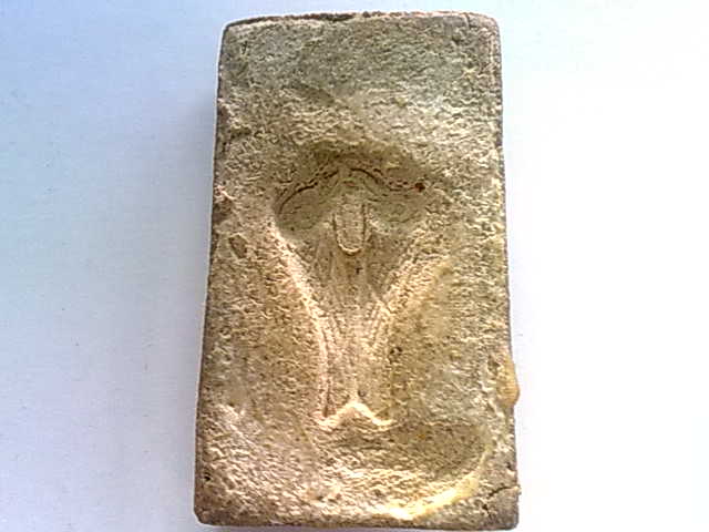 สมเด็จหลวงพ่อวงศ์วัดปริวาสหลังสาริกา