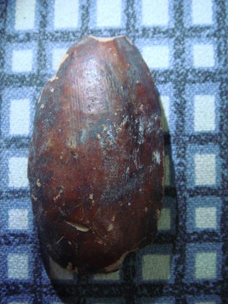 สอบถามพระกรุ ครับ