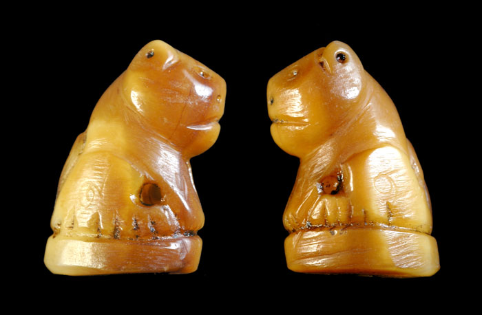 พี่ๆช่วยดูให้เสือหน่อยครับ (ถ่ายรูปใหม่ครับ)