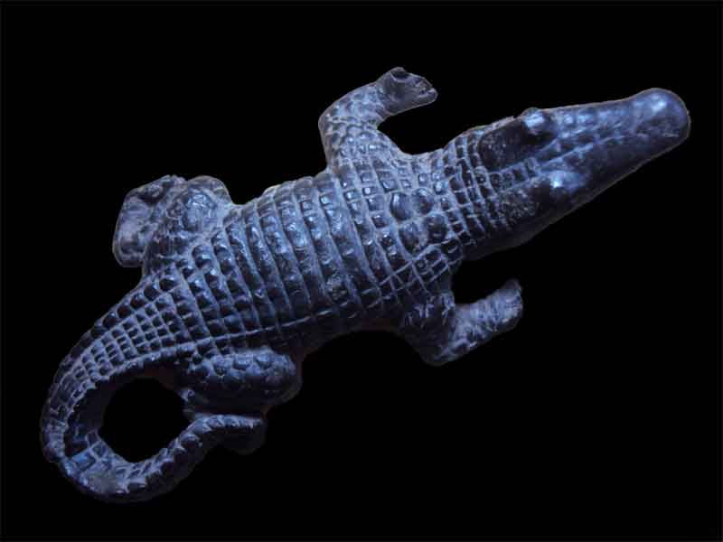 ลบกวนพี่ๆเรื่องจระเข้หน่อยครับ