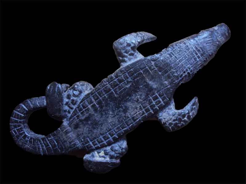 ลบกวนพี่ๆเรื่องจระเข้หน่อยครับ