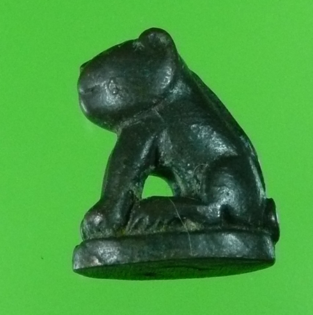 เสือไม่ทราบที่