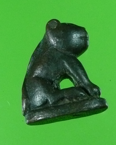 เสือไม่ทราบที่