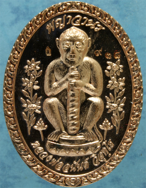 เหรียญทองแดง อนุมานจับหลัก หลวงพ่ออนันต์ วัดบางพลีน้อย รุ่น 1 ปี 2554