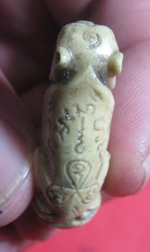 เสือ ที่ไหนใครรู้บ้าง