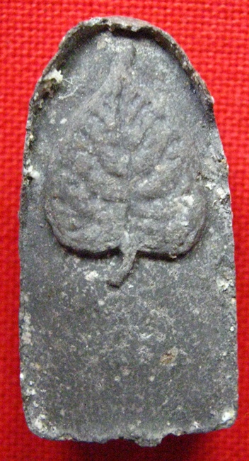 พระรอด หลังใบโพธิ์ ช่วยดูให้หน่อยครับ วัดใหนครับ หลวงพ่ออะใรสร้างครับ