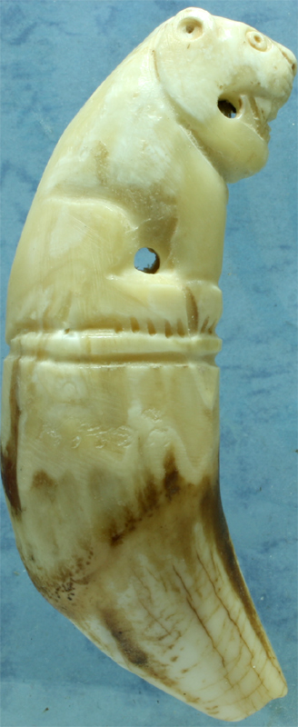 เสือเขี้ยวหมีแกะ หลวงพ่อฟู วัดบางสมัคร มีจาร สูง 8 ซ.ม.