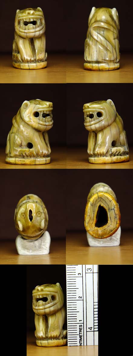 รบกวนอาจารย์ทุกท่านเลยครับช่วยกันวิจารเสือตัวนี้หน่อยครับ