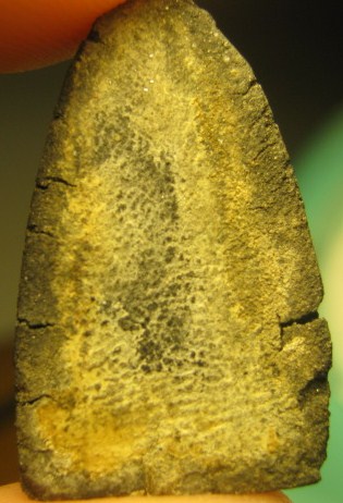 หลวงปู่ทวด ปี24 สวยครับ