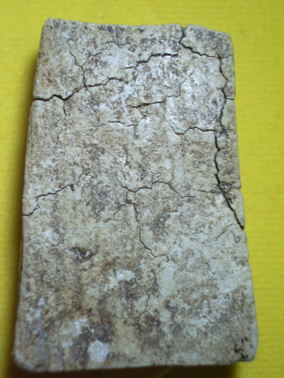 รบกวนพิจรณาสมเด็จบางขุนพรมพิมย์ให่ญมีหูด้วย