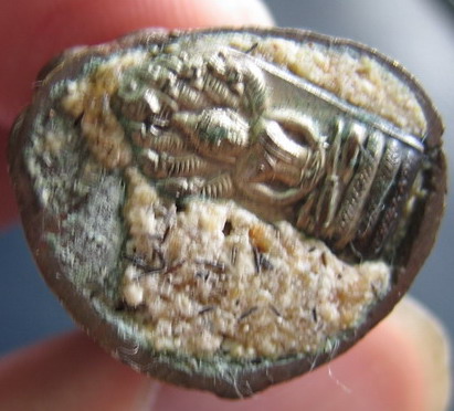 รบกวนถามพระกริ่งยอดขุนพล( ก้นอุดผง+เกศา+ปรกใบมะขาม )