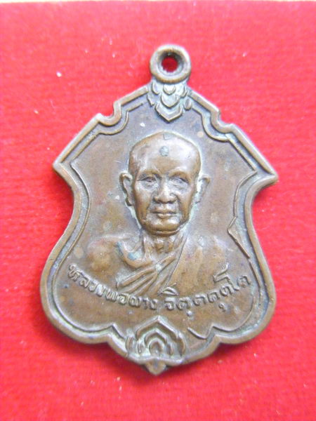 เคยเห็นป่าว....