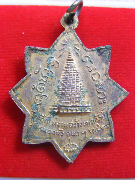 เคยเห็นป่าว....2