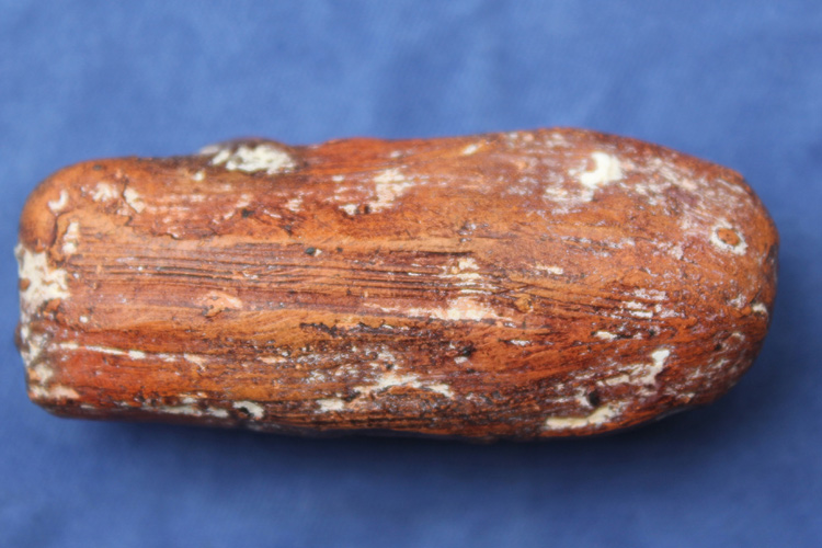 นาคปรกเดียวกรุนาดูนแท้หรือไม่