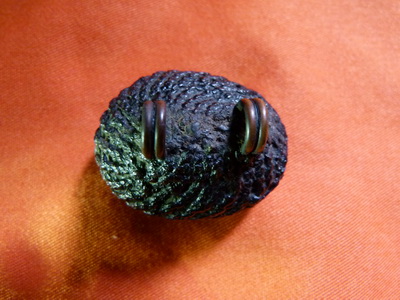 เบี้ยแก้หลวงปู่เจือ วัดกลางบางแก้ว