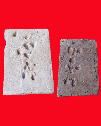 ขอสอบถามครับ...สมเด็จขี่ปลาฉลาม ?