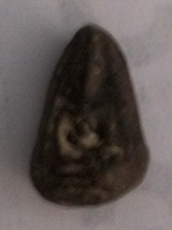 ใบมะขามอีกองค์ ไม่ทราบที่มา รบกวนผู้รู้ครับ