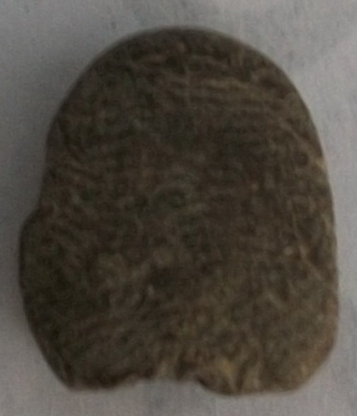 พระปิดตา ไม่ทราบที่มาครับ รบกวนผู้รู้ครับ