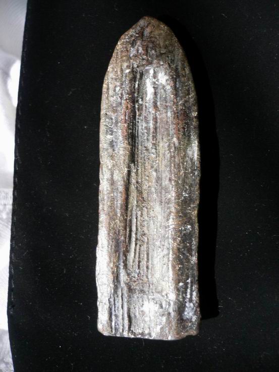 พระร่วงหลังรางปืนครับ