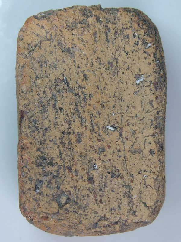 ลป. ปานขี่เม่นมังกรดีเปล่าครับ