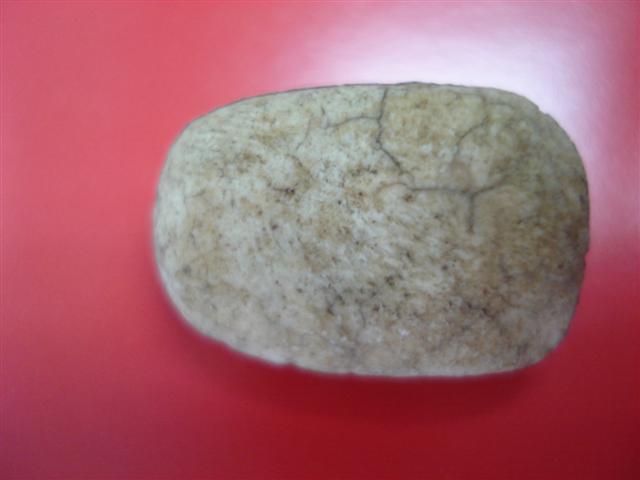 กรุวัดพลับหรือเปล่าครับ