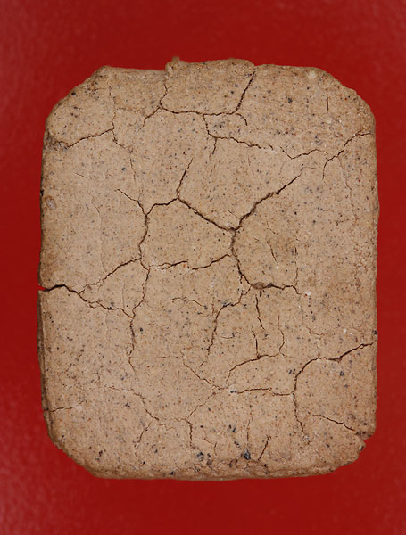 ครุฑปีกผีเสื้อ