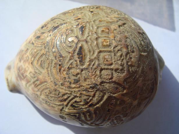 คือ..........อะไรหรอครับ รบกวนคับ