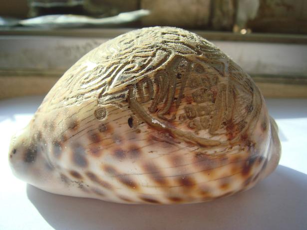 คือ..........อะไรหรอครับ รบกวนคับ