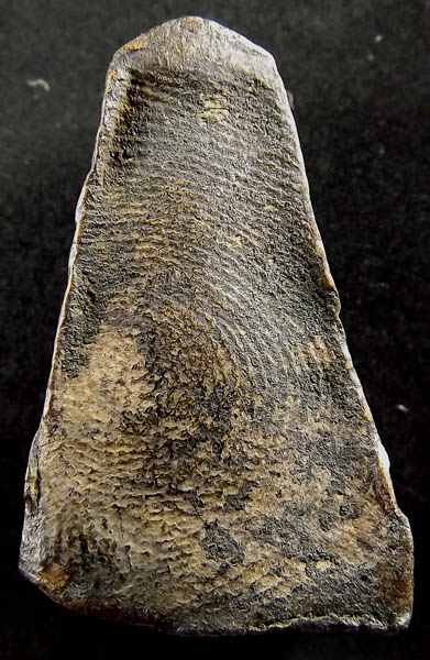 ผงสุพรรณแท้ไหมครับ