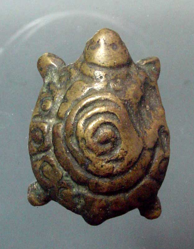 รบกวนดูเต่าให้ด้วยครับ