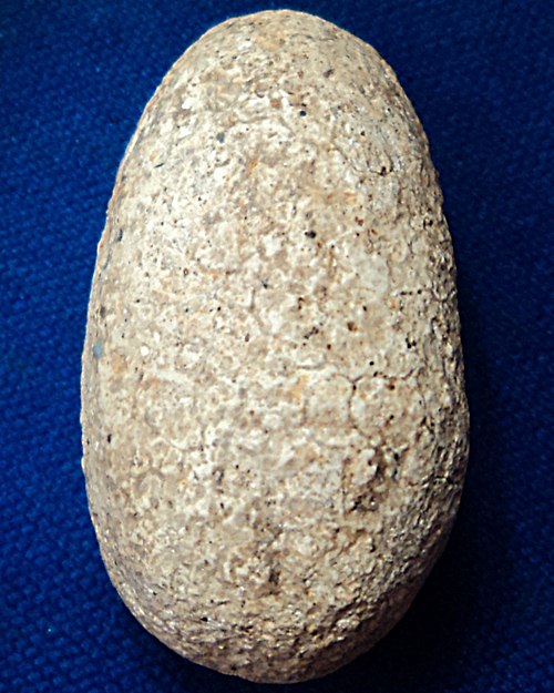 ช่วยพิจารณา พระไม่ทราบที่ไหนด้วยครับ ขอบคุณครับ