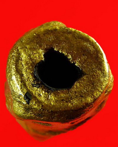 ตะกรุดนารายณ์แปลงรูป หลวงปู่กาหลง เขี้ยวแก้ว