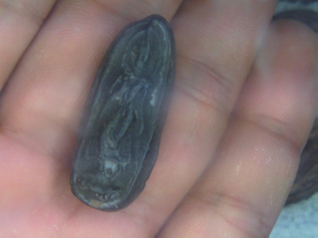 ลีลาเม็ดขนุน กรุเก่ากำแพงเพชร