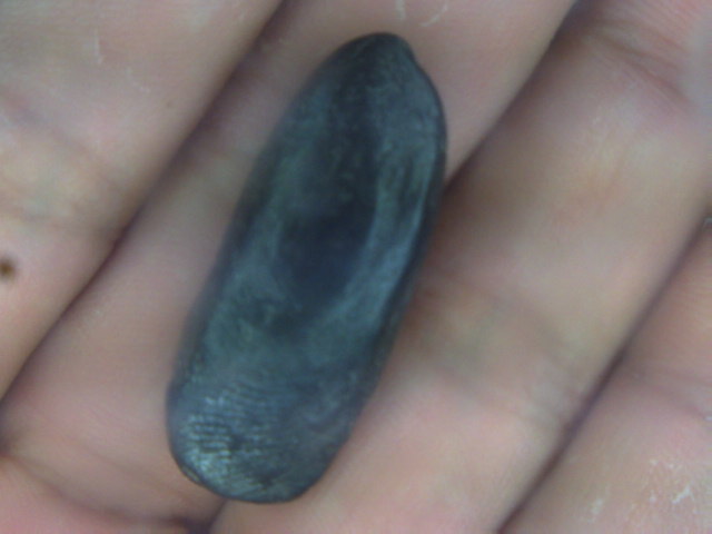 ลีลาเม็ดขนุน กรุเก่ากำแพงเพชร