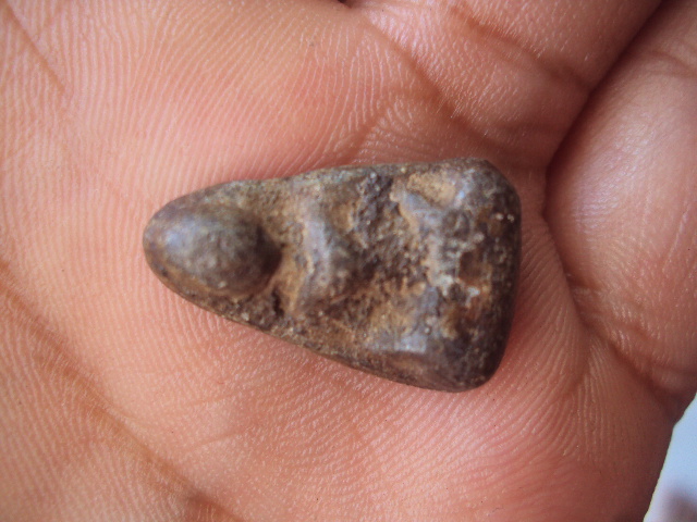 พระเชตุพล