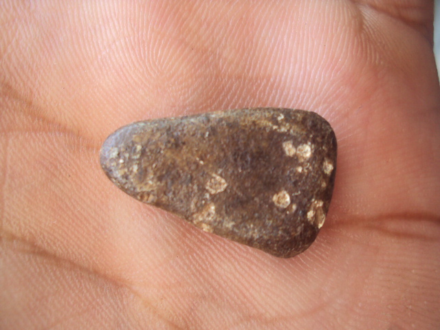 พระเชตุพล