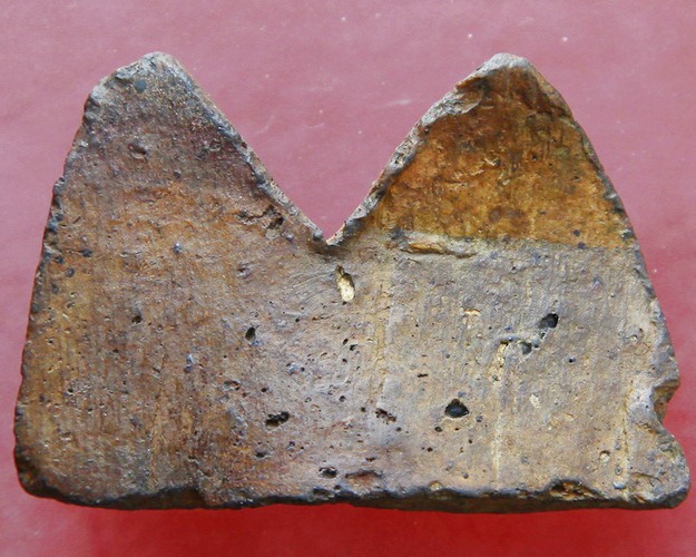 พลายคู่แท้หรือเปล่าครับ