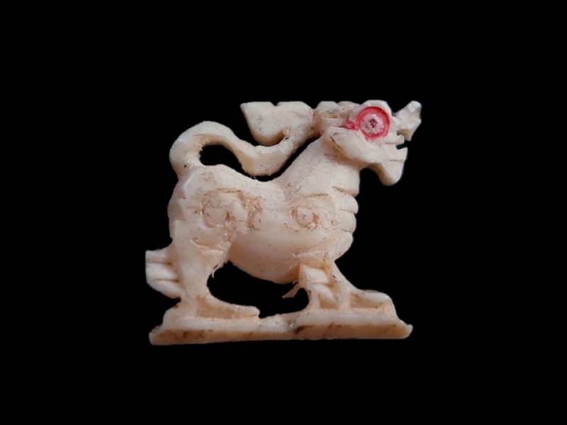 รบกวนสอบถาม สิงห์งาแกะ ครับผม