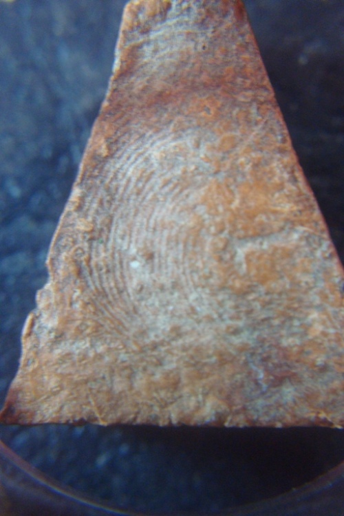 นางพญาไม่รู้ที่ครับ รบกวนด้วย องค์ที่1