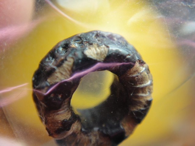 ตะกรุดพิศมร หลวงพ่อแก้ว วัดพวงมาลัย