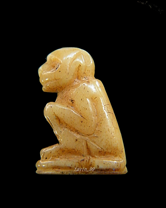 รบกวนพี่ๆช่วยดูลิงตัวนี้ให้ด้วยครับ