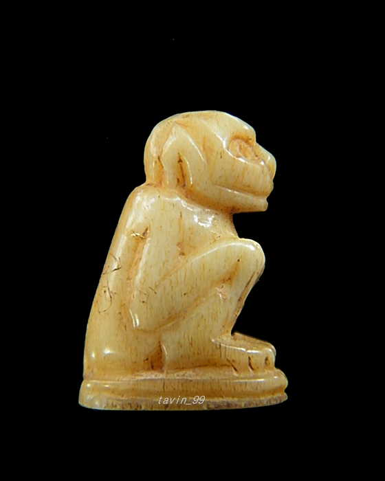 รบกวนพี่ๆช่วยดูลิงตัวนี้ให้ด้วยครับ