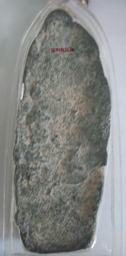 พระลีลาไม่ทราบกรุไหนดีหรือไม่