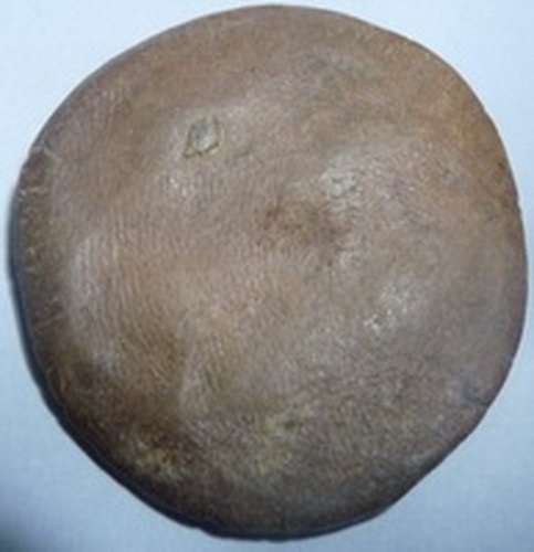 พระขุนแผนใบพุทราวัดใหญ่ชัยมงคล